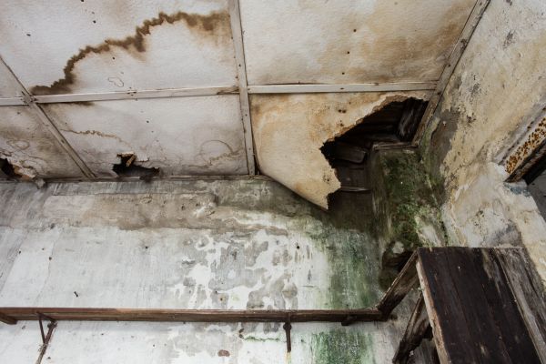 Water Damage Service in Tarpon Springs