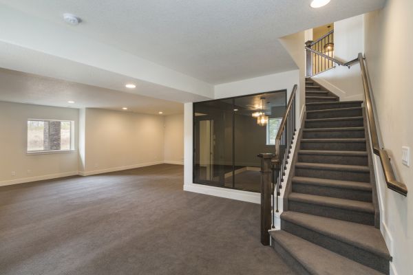 Cost of Basement Restoration Service in Tarpon Springs