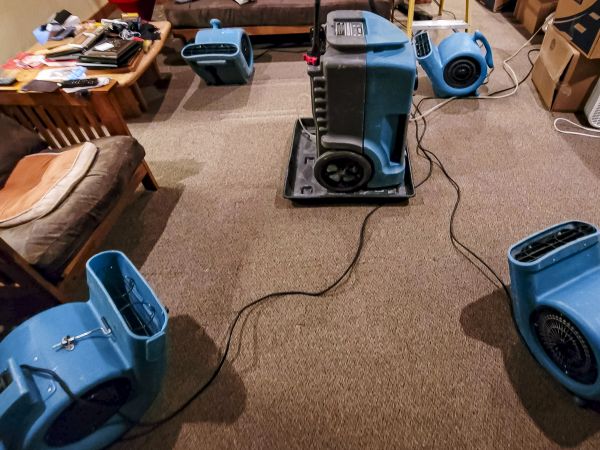 Cost of Flood Damage Recovery in Tarpon Springs