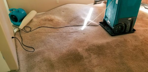 Flood Damage Cleanup in Tarpon Springs