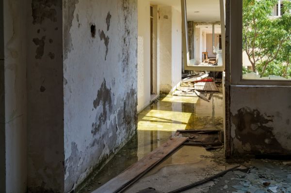 Water Removal Service in Tarpon Springs