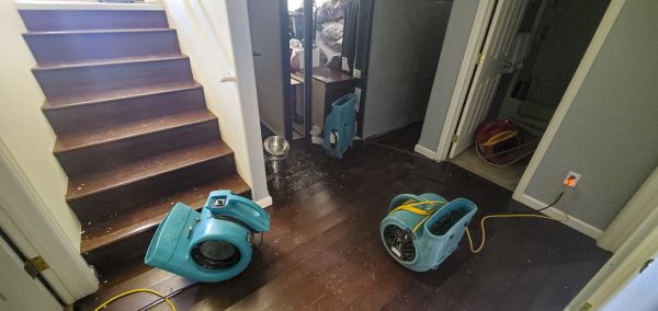 Water Damage Remediation in Tarpon Springs