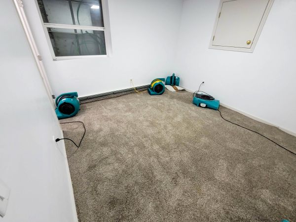 Flood Restoration Service in Tarpon Springs