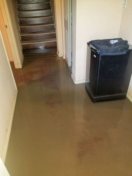 Emergency Water Removal in Tarpon Springs
