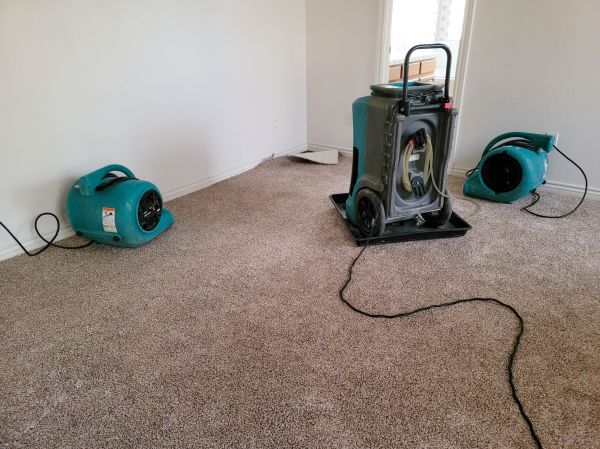 Water Damage Repair in Tarpon Springs
