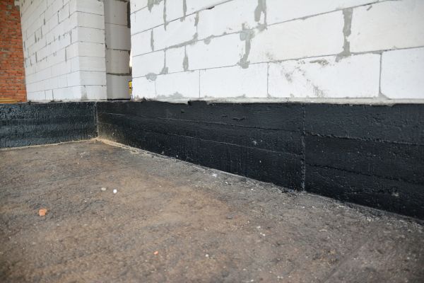 Cost of Basement Water Damage Service in Tarpon Springs