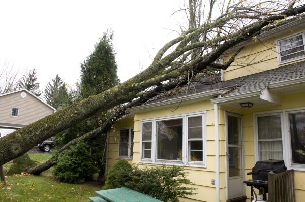 Hurricane Damage Repair in Tarpon Springs