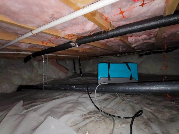 Cost of Crawl Space Water Remediation in Tarpon Springs