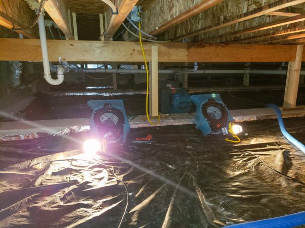 Crawlspace Water Removal in Tarpon Springs