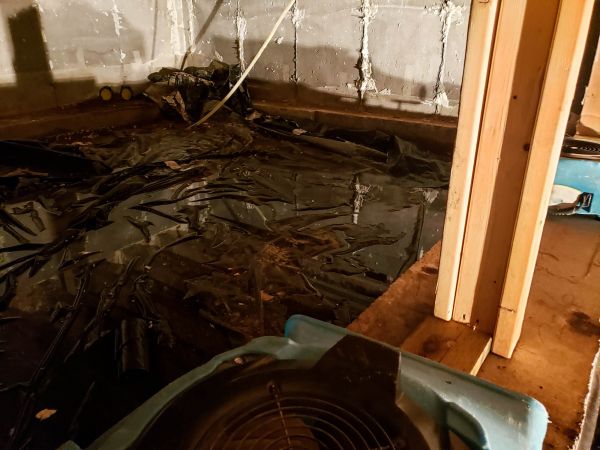 Crawlspace Water Cleanup in Tarpon Springs
