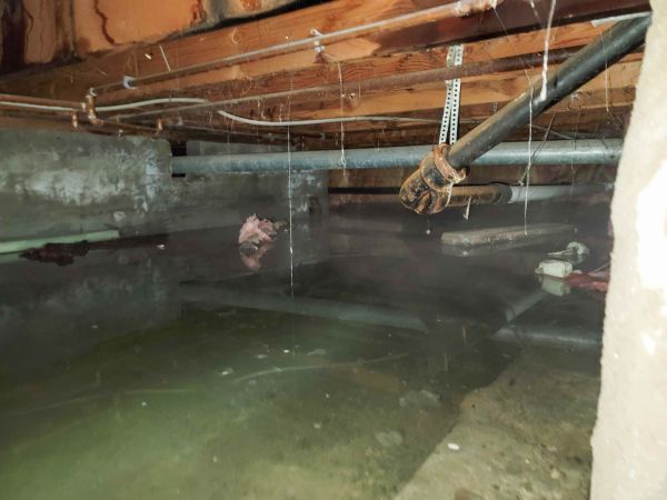 Crawlspace Water Restoration in Tarpon Springs
