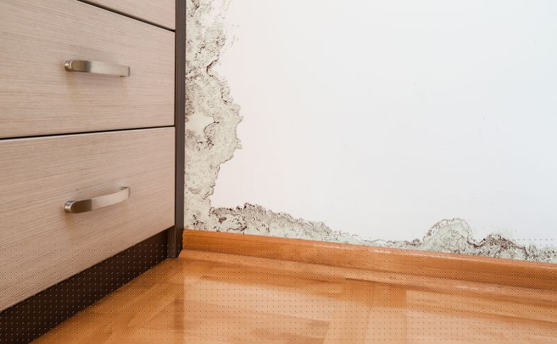Water Damage Remediation